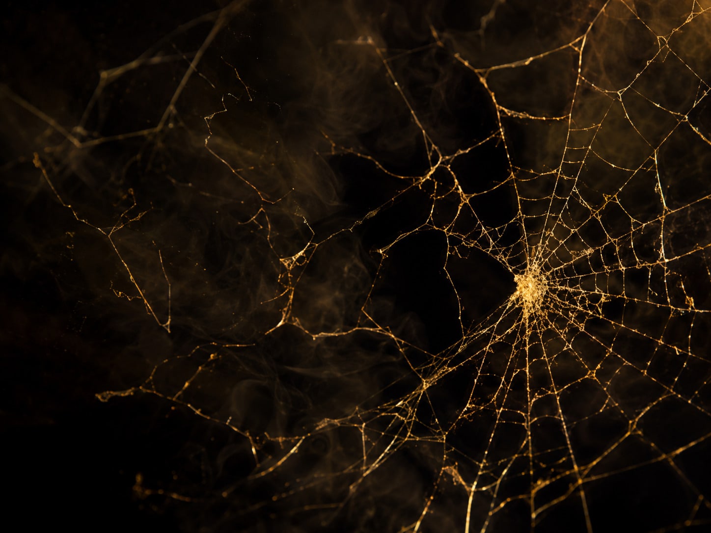A torn gold web with broken strands drifting in smoke.
